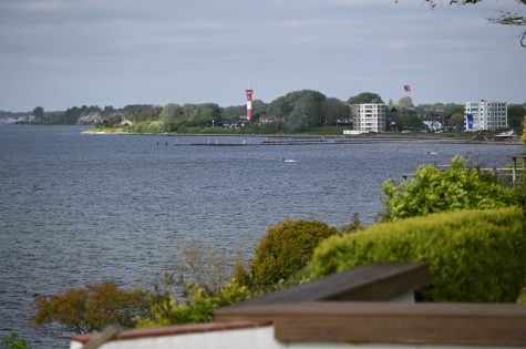 DSC_8494