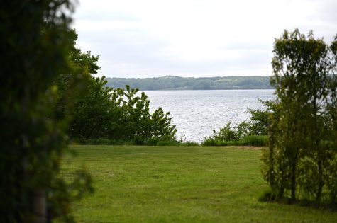 DSC_8498